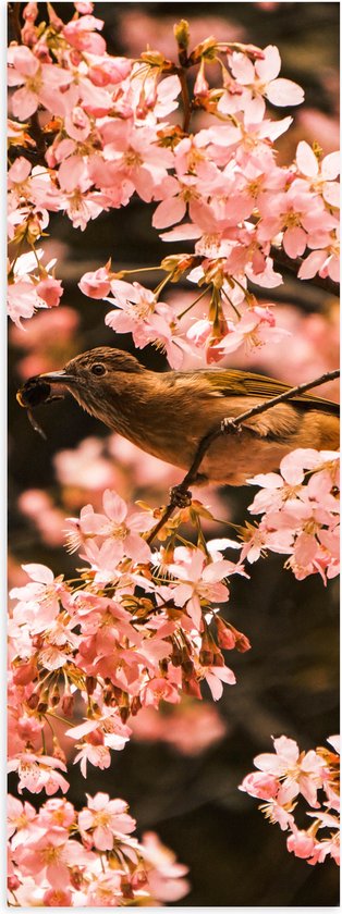 Poster Glanzend – Bloemen - Planten - Dieren - Vogel - Roze - 20x60 cm Foto op Posterpapier met Glanzende Afwerking