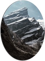 Dibond Ovaal - Bergen - Sneeuw - Bomen - Stenen - 51x68 cm Foto op Ovaal (Met Ophangsysteem)