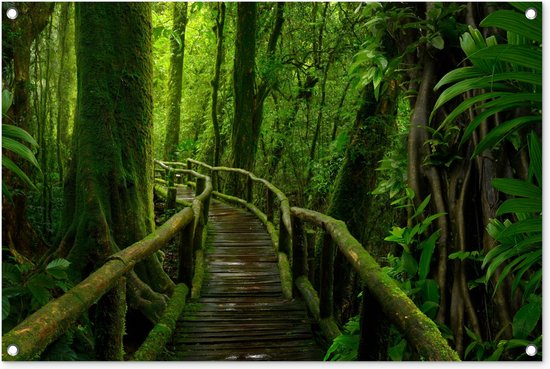 Tuinposters buiten Jungle - Brug - Mos - Natuur - Tropisch - 90x60 cm - Tuindoek - Buitenposter Tuinposters buiten Jungle - Brug - Mos - Natuur - Tropisch - 90x60 cm