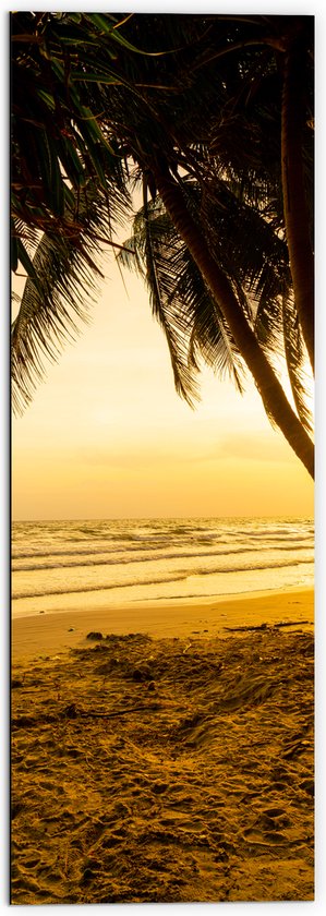 Dibond - Kokosnoot Palmbomen op het Strand bij Fekleurige Zonsopgang - 50x150 cm Foto op Aluminium (Met Ophangsysteem)