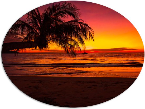 Dibond Ovaal - Silhouet van Palmboom Hangend over het Strand tijdens Rozekleurige Zonsondergang - 80x60 cm Foto op Ovaal (Met Ophangsysteem)