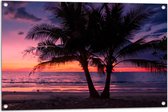 Tuinposter – Twee Palmbomen op het Strand langs de Zee bij Zonsondergang - 90x60 cm Foto op Tuinposter (wanddecoratie voor buiten en binnen)