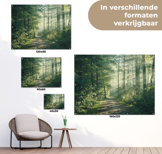 Différentes tailles d'affiches de jardin d'une forêt avec un sentier et la lumière du soleil.