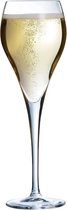 Brio Champagneglas - 16cl - Set van 6