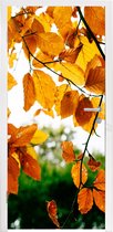 Deursticker Herfstbladeren - Boom - Landelijk - 85x215 cm - Deurposter