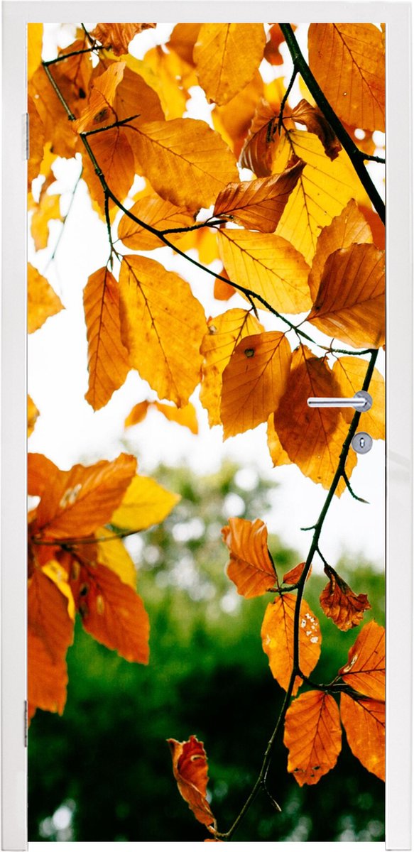 Deurposter 85x215 cm - Deursticker Herfstbladeren - Boom - Landelijk - Meubelfolie zelfkle