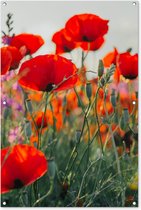 Tuinschilderij - Bloemen - Klaproos - Rood - Tuin - 80x120 cm - Schuttingdoek - Tuinposter - Tuindecoratie - Tuindoek - Buitenposter