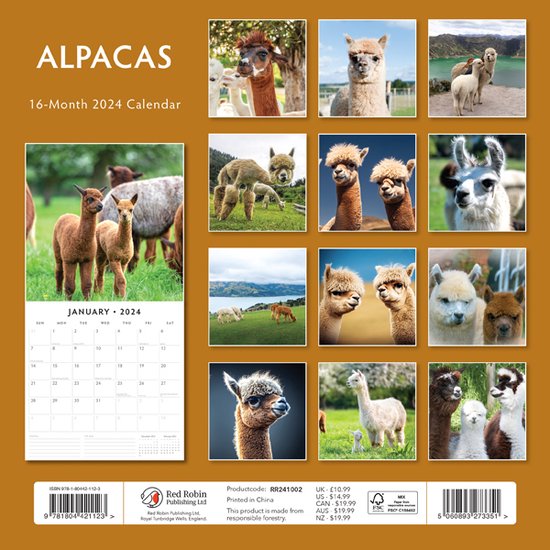 Alpacas Kalender 2024