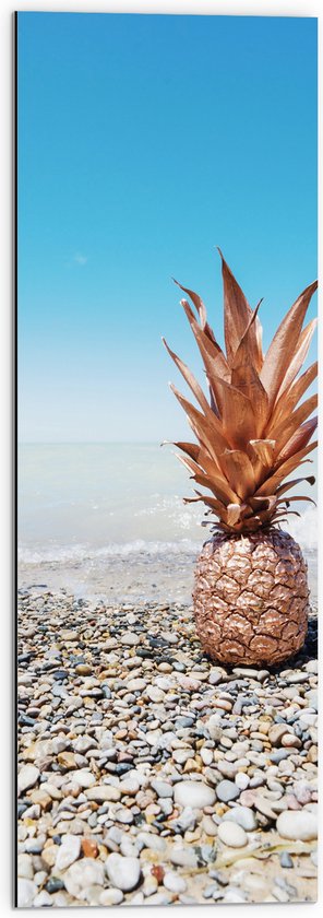 Dibond - Zee - Eten - Annanas - Stenen - Water - 30x90 cm Foto op Aluminium (Met Ophangsysteem)