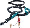 BOTC Running Leash Dog - Laisse pour chien - jusqu'à 170 cm -- Laisse avec ceinture réfléchissante