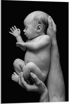 Acrylglas - Pasgeboren Baby in Handen van Vader (Zwart- wit) - 60x90 cm Foto op Acrylglas (Wanddecoratie op Acrylaat)