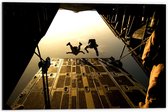 Dibond - Skydivers van Platform in Vliegtuig - 60x40 cm Foto op Aluminium (Met Ophangsysteem)