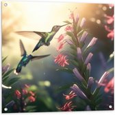Tuinposter – Kolibries Vliegend bij Roze Plantgjes - 80x80 cm Foto op Tuinposter (wanddecoratie voor buiten en binnen)