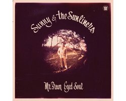 Mr. Brown Eyed Soul