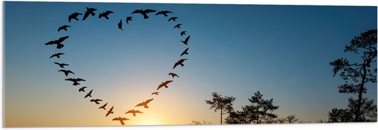 Acrylglas - Zwerm Vogels Vliegend in Hartvorm boven het Water - 120x40 cm Foto op Acrylglas (Met Ophangsysteem)