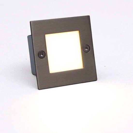 aanraken zoogdier Janice QAZQA ledlite - Moderne LED Inbouwspot voor buiten - L 70 mm - Staal -  Buitenverlichting | bol.com