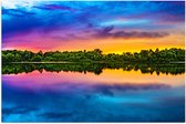 Poster (Mat) - Water - Meer - Bomen - Bossen - Kleuren - 90x60 cm Foto op Posterpapier met een Matte look