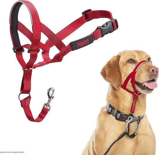 Harnais anti traction pour chien et chat grand harnais pour - Temu