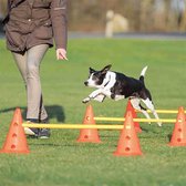 pour chiens, ensemble avec haies pour l'entraînement de la coordination, ensemble d'agilité pour chien réglable pour l'entraînement, diverses combinaisons
