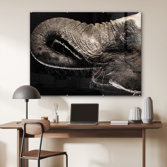MuchoWow® Peinture sur verre 120x90 cm - Peinture sur verre acrylique - Éléphant - Animaux - Zwart - Nature - Photo sur verre - Peintures