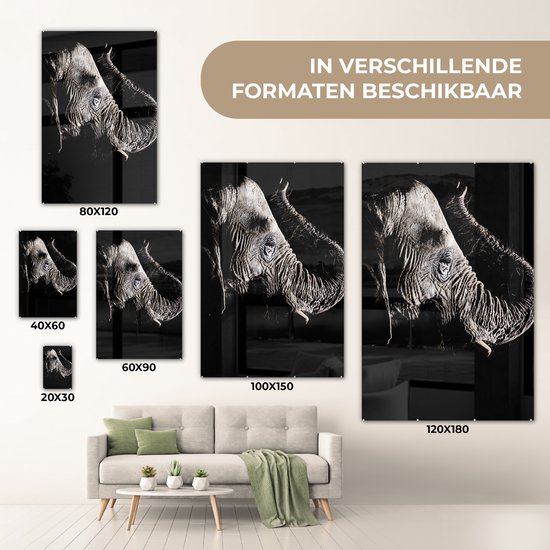 MuchoWow® Peinture sur verre 60x90 cm - Peinture sur verre acrylique - Éléphant - Zwart - Animaux - Nature - Photo sur verre - Peintures