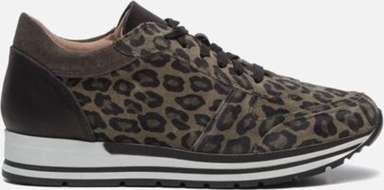 Linea Zeta Sneakers luipaard Maat 36 bol