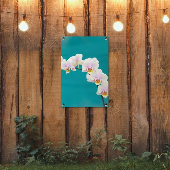 Décoration de jardin Orchidée - Fleurs - Plante - Wit - Violet - 40x60 cm - Poster jardin - Toile jardin - Poster extérieur
