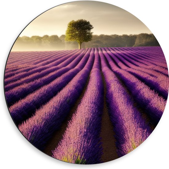 Dibond Muurcirkel - Rijen Lavendelbloemen in Weiland - 50x50 cm Foto op Aluminium Muurcirkel (met ophangsysteem)