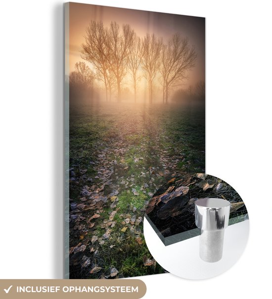 Glasschilderij - Bomen - Mist - Herfstbladeren - Natuur - Foto op glas - 80x120 cm - Schilderij glas