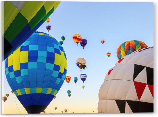 Acrylglas - Tussen de Luchtballonnen in de Lucht - 40x30 cm Foto op Acrylglas (Met Ophangsysteem)