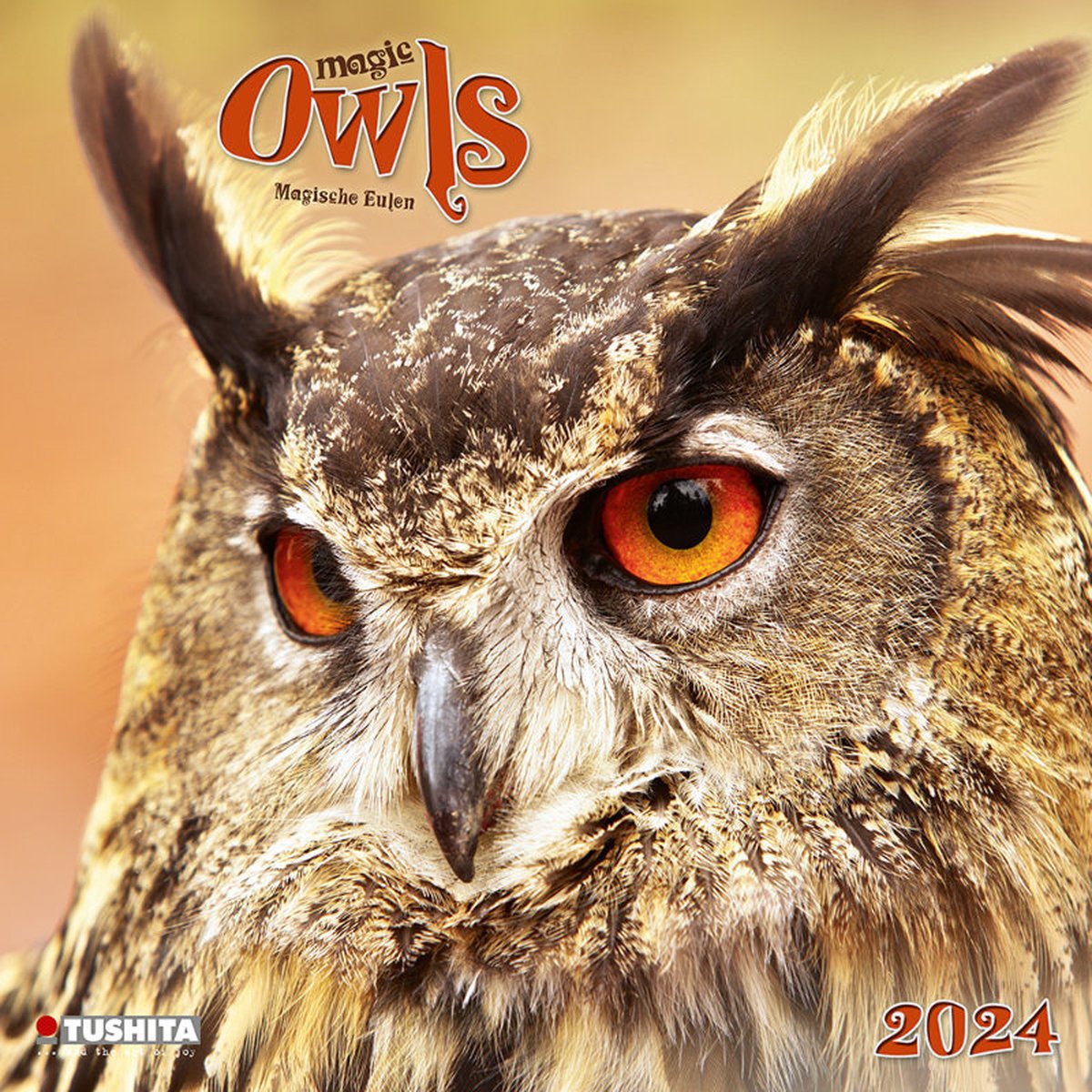 Magic Owls Kalender 2024