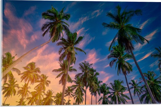 Acrylglas - Onderaanzicht van Groep Kokosnoot Palmbomen onder Roze Lucht - 60x40 cm Foto op Acrylglas (Met Ophangsysteem)