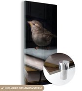 MuchoWow® Glasschilderij 60x120 cm - Schilderij acrylglas - Vogel - Boeken - Portret - Foto op glas - Schilderijen