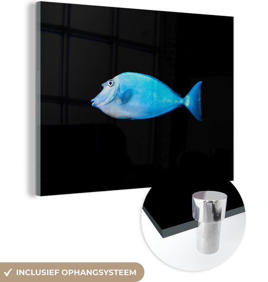 MuchoWow® Glasschilderij 40x30 cm - Schilderij acrylglas - Vis - Zeedieren - Zwart - Foto op glas - Schilderijen