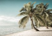 Fotobehang - Vlies Behang - Palmbomen aan Zee - Tropisch - Strand - 208 x 146 cm