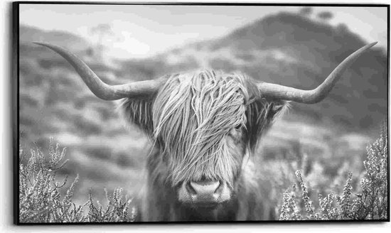 Art Frame Schotse Hooglander 70x118 cm