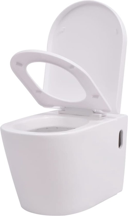 vidaXL Toilette murale sans bord à fonction de bidet Céramique Blanc