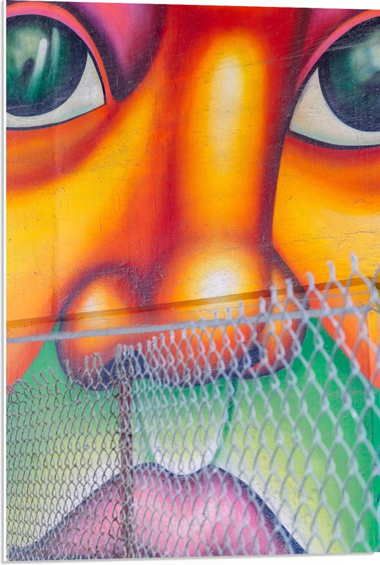 PVC Schuimplaat - Muurschildering van Gezicht Vol met Kleurrijke Vlakken - 50x75 cm Foto op PVC Schuimplaat (Met Ophangsysteem)