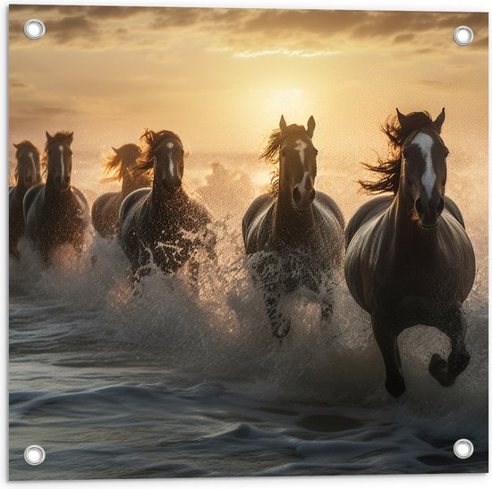 Tuinposter – Vooraanzicht van Kudde Galopperende Paarden in de Zee - 50x50 cm Foto op Tuinposter (wanddecoratie voor buiten en binnen)