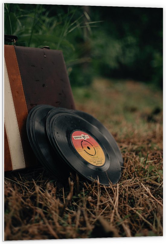 PVC Schuimplaat - Muziekplaten tegen Vintage Koffer in Landschap - 60x90 cm Foto op PVC Schuimplaat (Met Ophangsysteem)