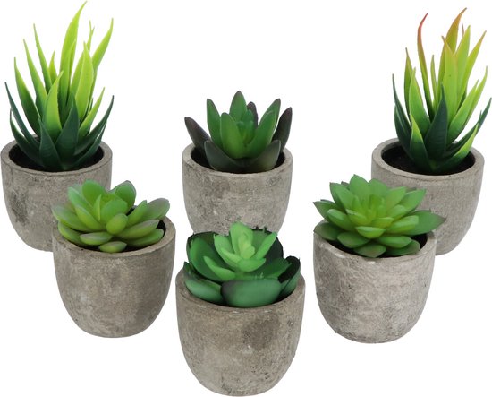 Set van vijf kunstvetplantjes in grijze stenen potjes, op een witte achtergrond.