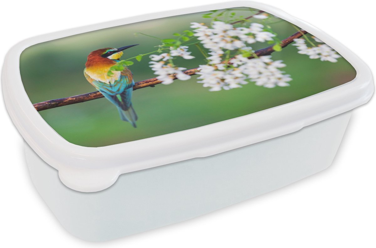 Broodtrommel Wit - Lunchbox - Brooddoos - Vogel - Bijeneter - Bloemen - 18x12x6 cm - Volwassenen