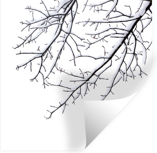 Sticker Muursticker Branches - Branches avec neige - 100x100 cm - film adhésif autocollant - sticker mural repositionnable XXL /