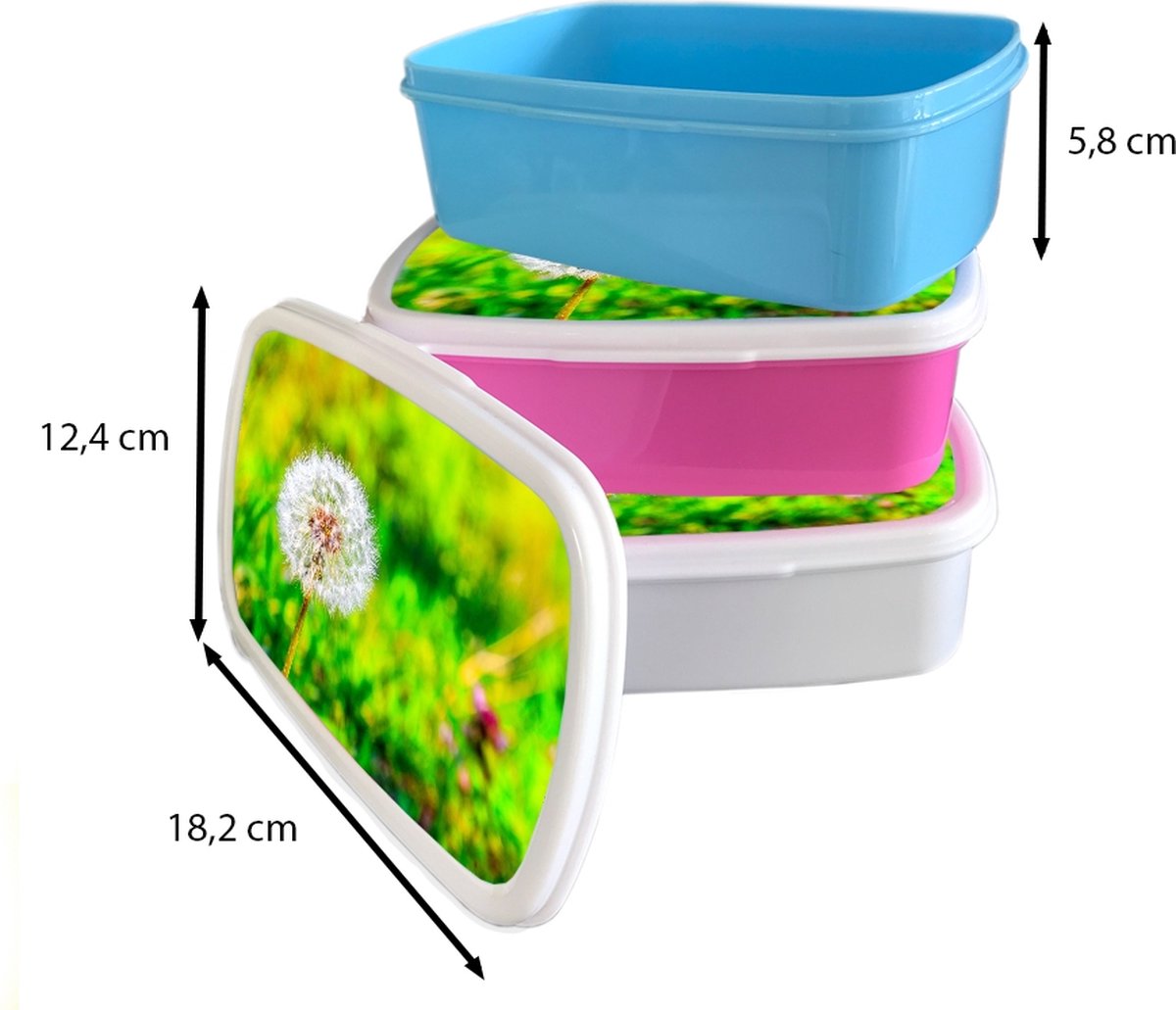 Broodtrommel Wit - Lunchbox - Brooddoos - Paardenbloem - Grasveld - Bloem - 18x12x6 cm - Volwassenen