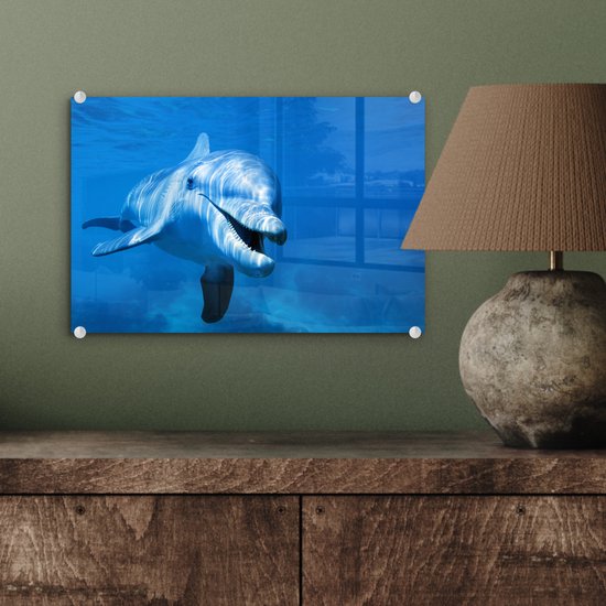 Peinture sur Verre - Dauphin - Water - Mer - 30x20 cm - Peintures sur Verre Peintures - Photo sur Glas