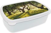 Broodtrommel Wit - Lunchbox - Brooddoos - Bomen - Natuur - Zon - 18x12x6 cm - Volwassenen