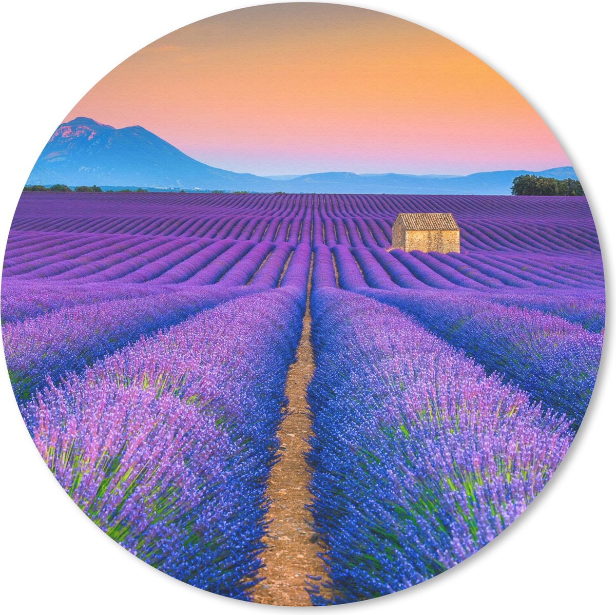 Muismat rond 20x20 cm - Mousepad Lavendel - Paars - Bloemen - Ronde muismatten