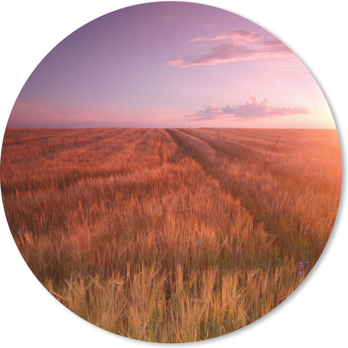 Muismat rond 20x20 cm - Mousepad Grasveld - Zon - Avond - Landschap - Ronde muismatten