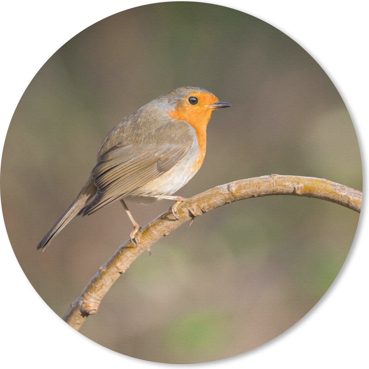 Muismat rond 20x20 cm - Mousepad Roodborstje - Vogel - Natuur - Ronde muismatten