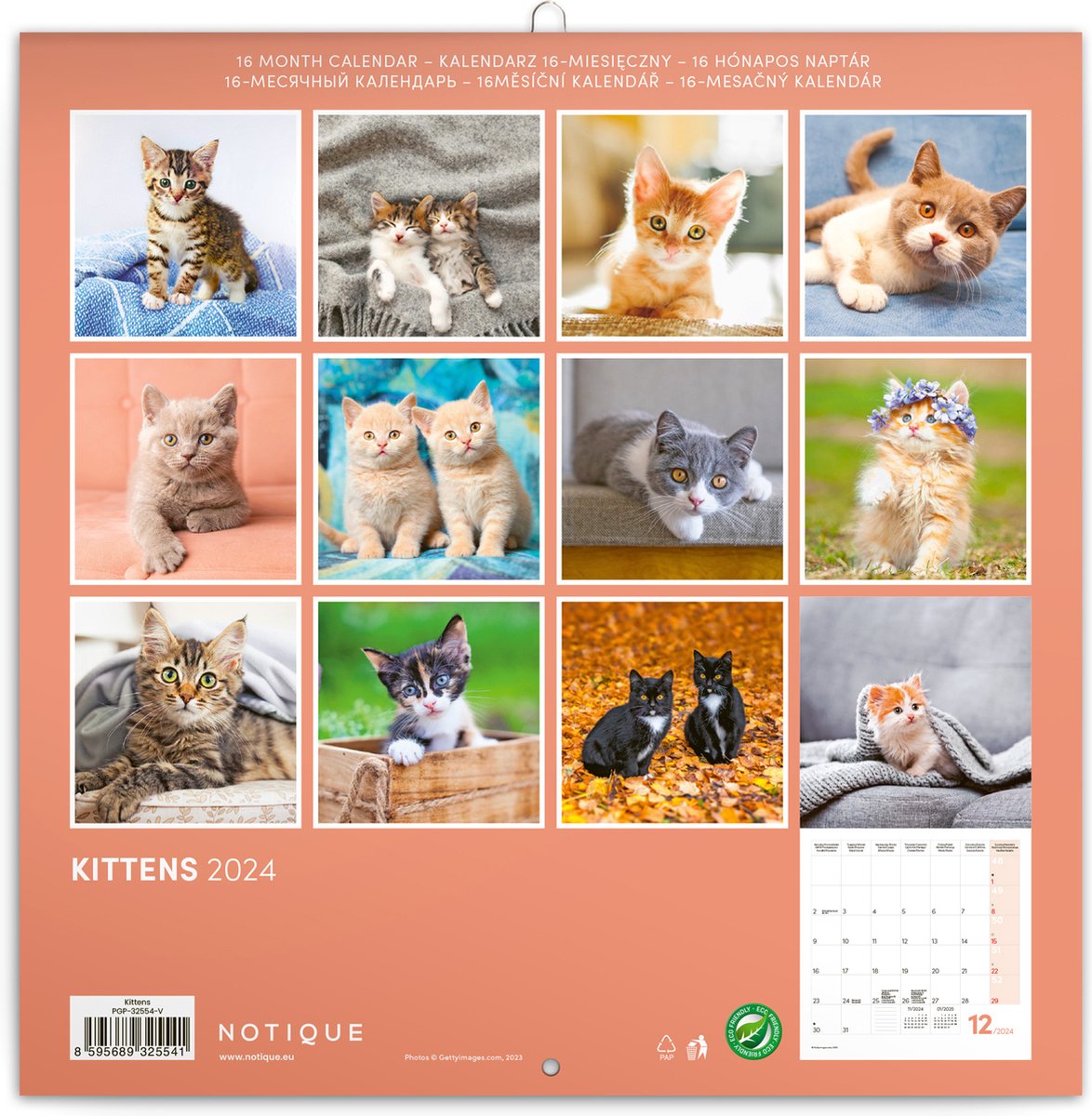 Grupo Calendrier des chatons 2024 